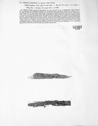 Neonectria coccinea image